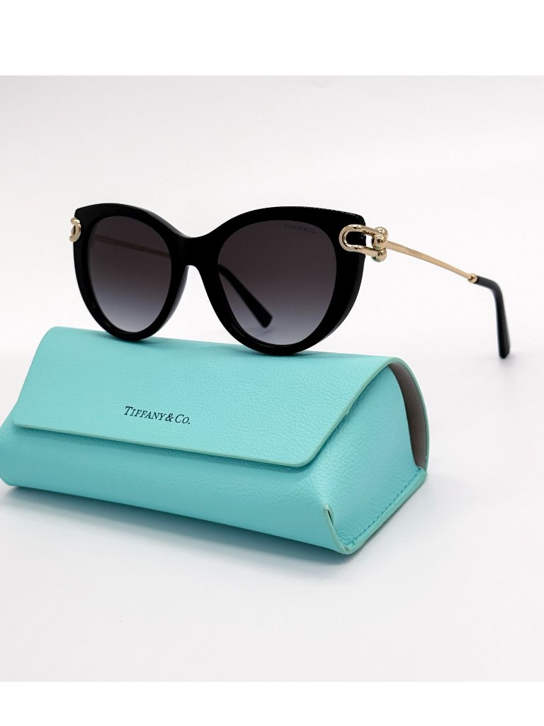 New Tiffany & Co Tf4232 8001/3c Black Oversized Women Sunglasses